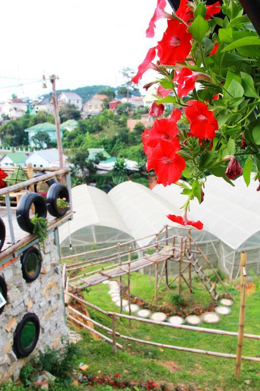 Hobbit Village Νταλάτ Εξωτερικό φωτογραφία